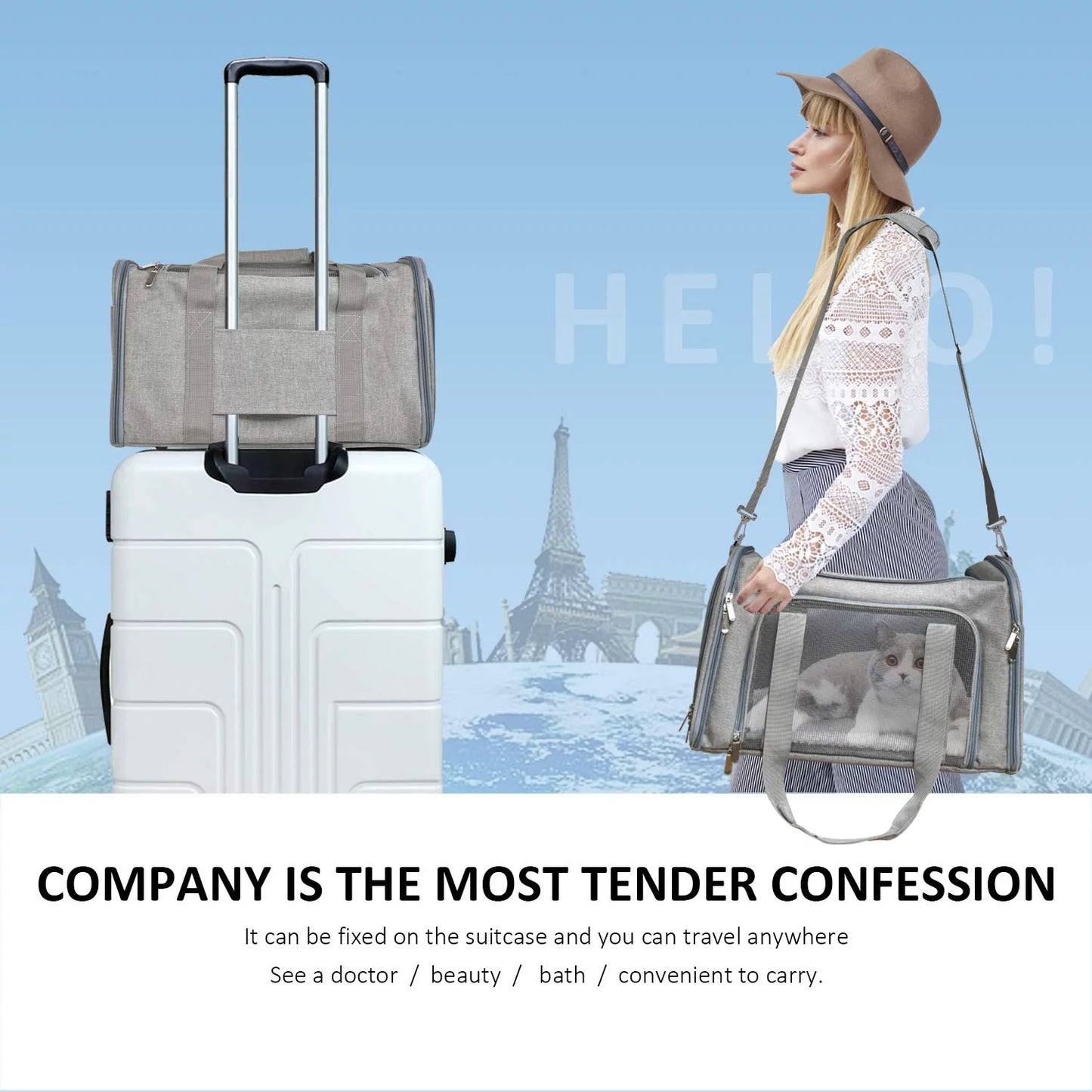 Cat Carrier – Small Pet Carrier – Breathable Mesh