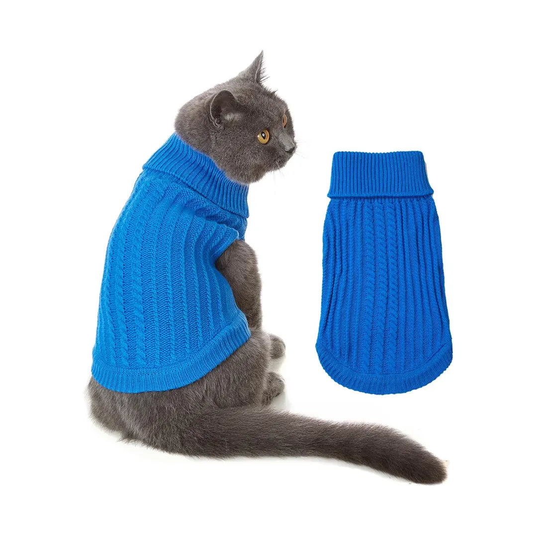 Gray cat wearing a bright blue knitted sweater, showcasing a cozy and stylish winter apparel for cats.