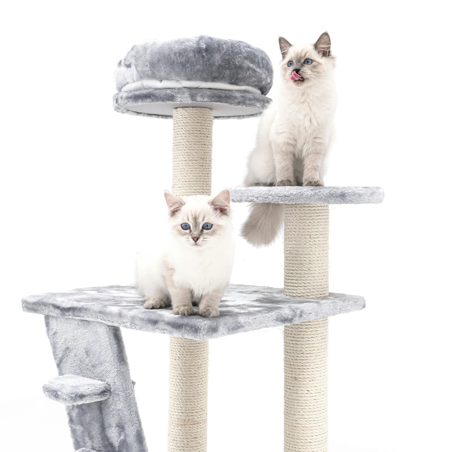 Two fluffy kittens playing on a gray cat tree with multiple levels and scratching posts, part of the Trees collection.