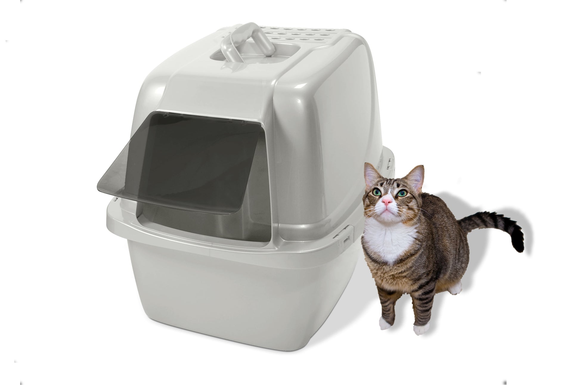 Enclosed Cat Litter Box White, LG