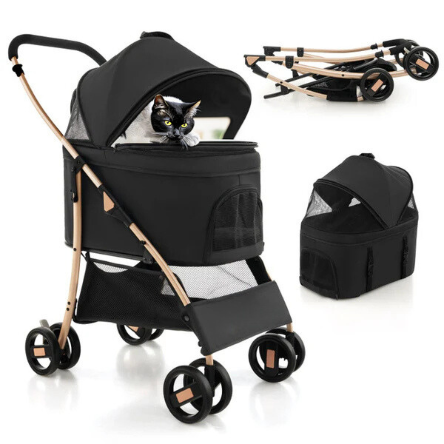 Black and gold cat stroller with a cat inside. Perfect for pet travel and outdoor adventures