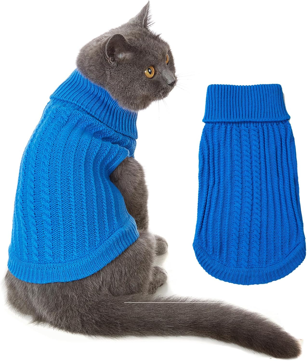 Gray cat wearing a bright blue knitted sweater, showcasing a cozy and stylish winter apparel for cats