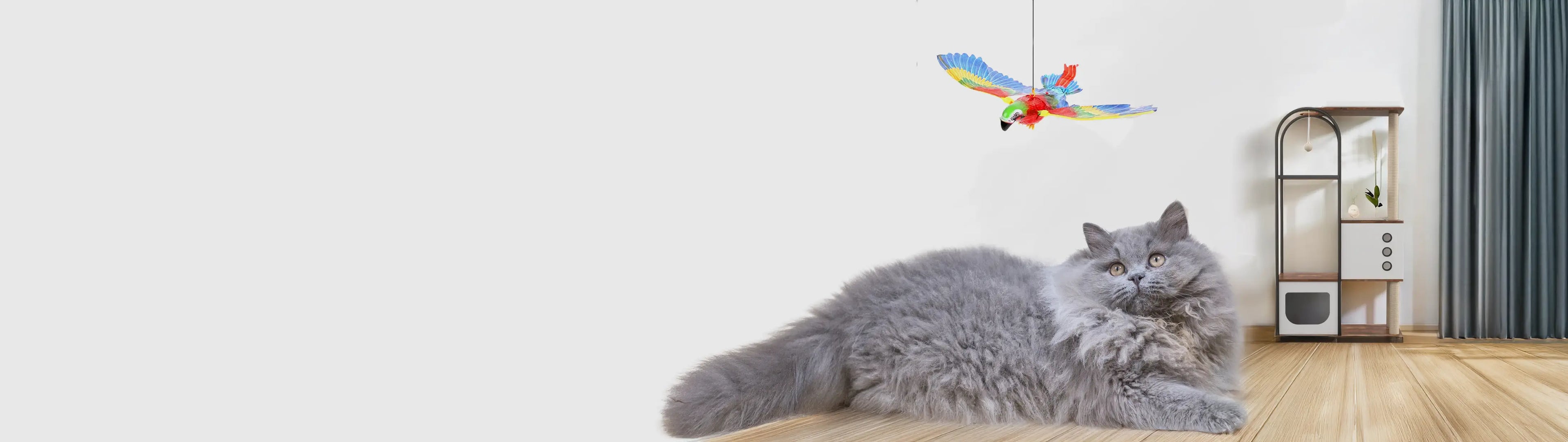 Persian cat playing with a bird-shaped toy, engaging in fun and active play